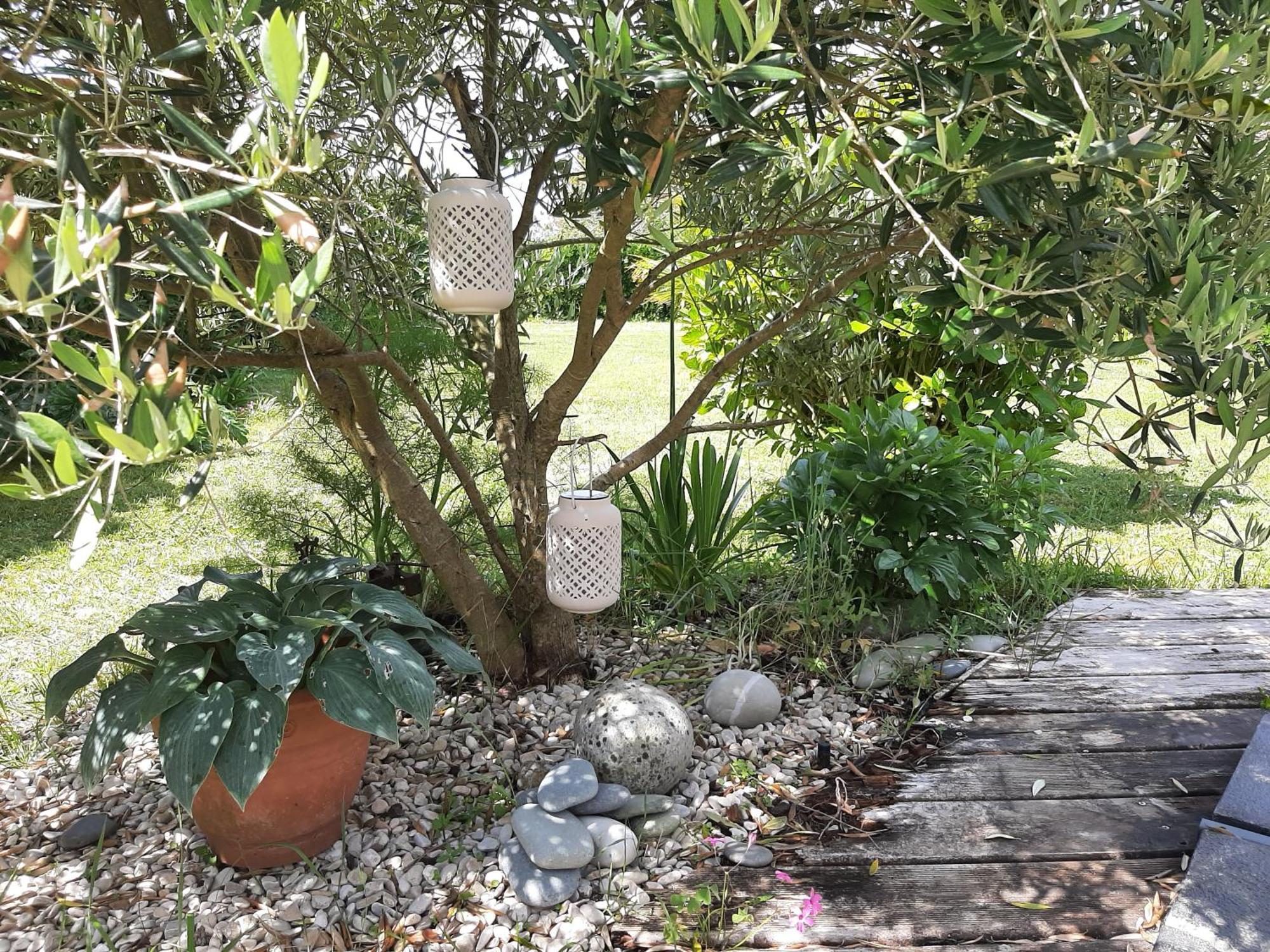 Maison Chaleureuse Bord De Mer Primelin ภายนอก รูปภาพ